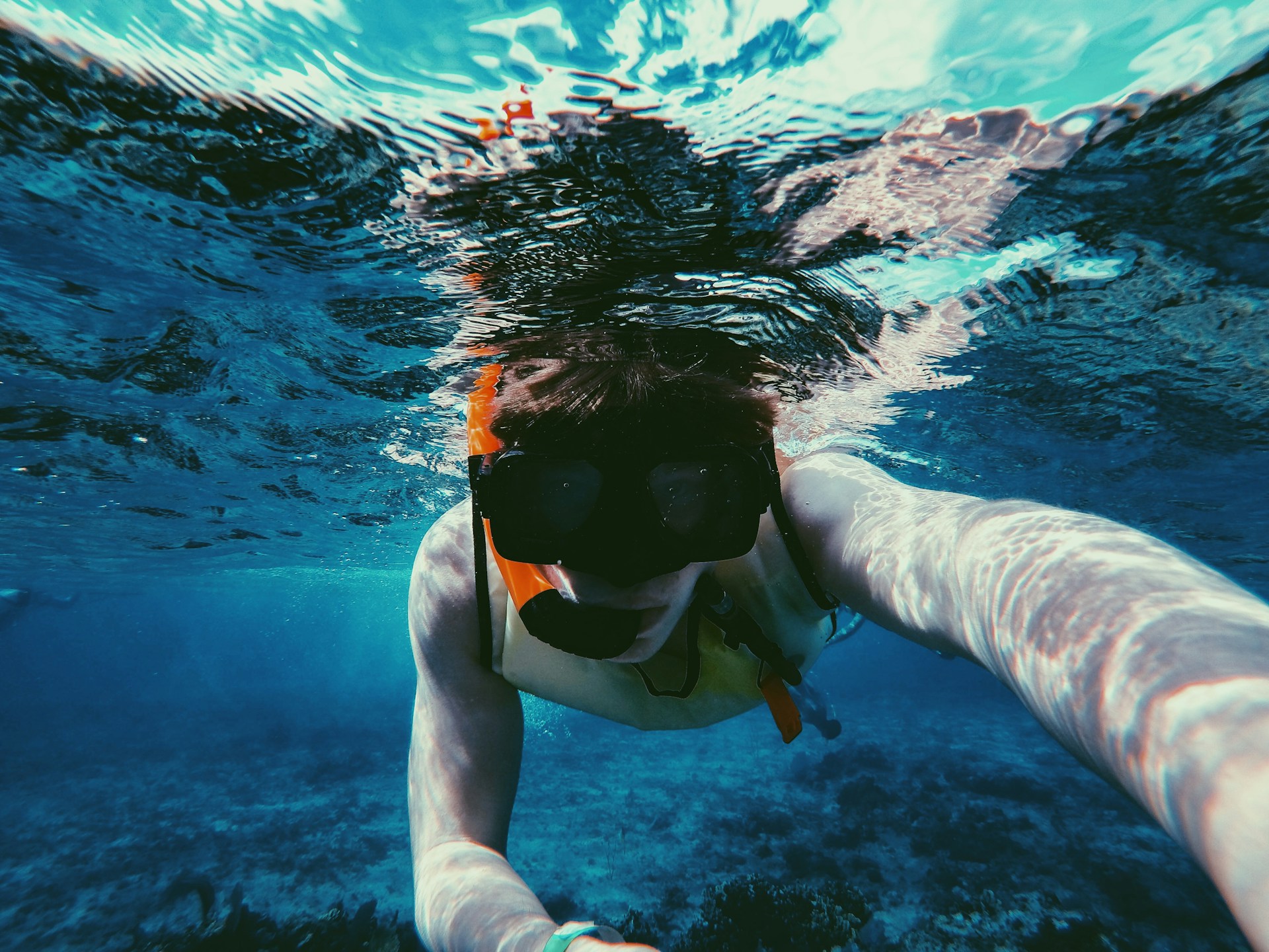 Snorkel
